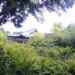 東福寺　遠景